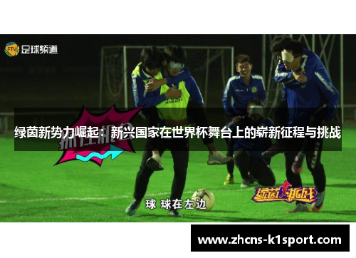 绿茵新势力崛起：新兴国家在世界杯舞台上的崭新征程与挑战